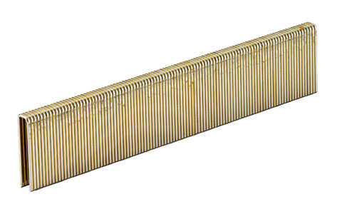 Fotografie-Produktbild